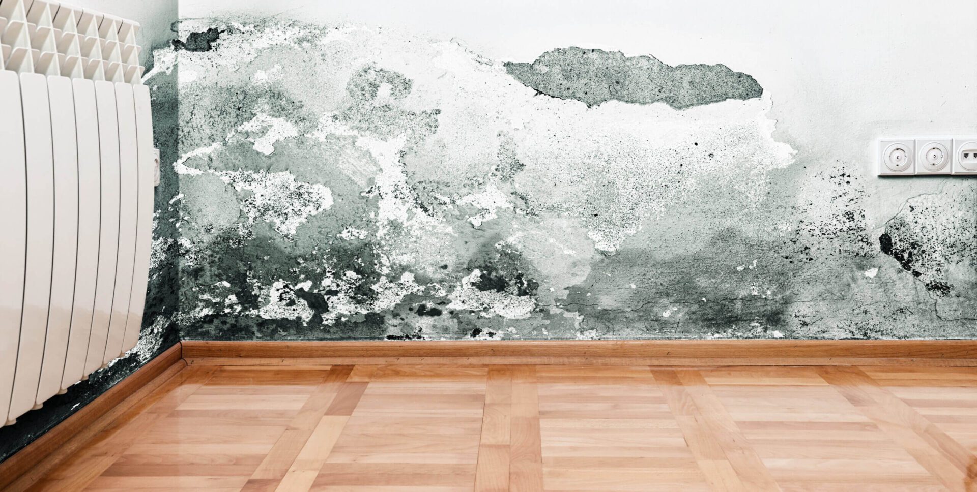 Mold Remediation Specialist A room with a wall that has water coming out of it.