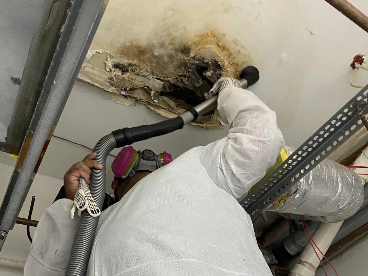 Mold cleanup in Jersey City NJ
