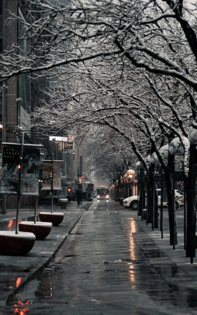 A snowy street with trees and lights on the side.